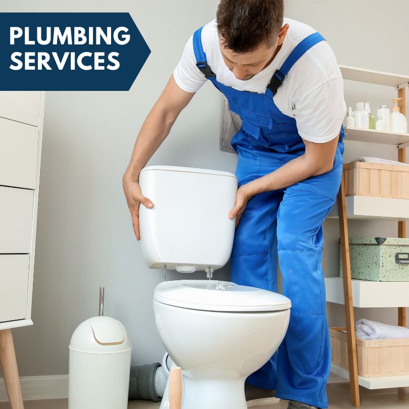 Plumbing Company in Andalusia, IL